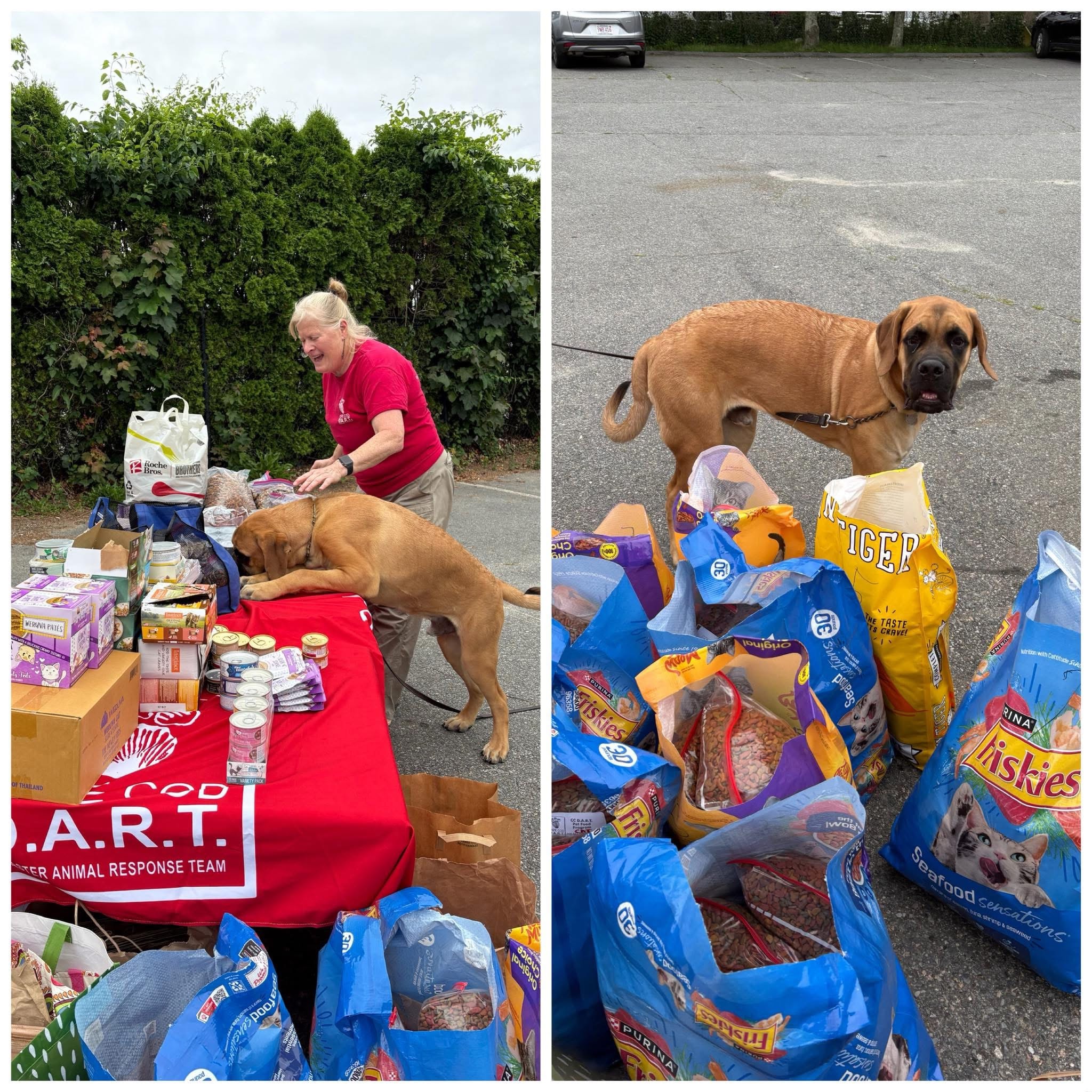 Community volunteers with pets
